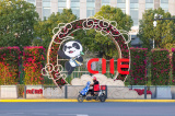 Photos Chine : prparatifs de la 6e CIIE  Shanghai