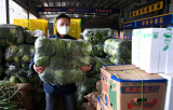 Photos : (COVID-19) Approvisionnement en lgumes  Xi'an pendant l'pidmie