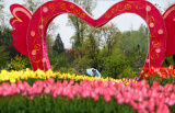 Photos : Salon des fleurs de printemps dans le nord-est de la Chine