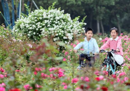 (miniature) Des enfants font du vélo dans le jardin botanique de la ville de Jiaxing