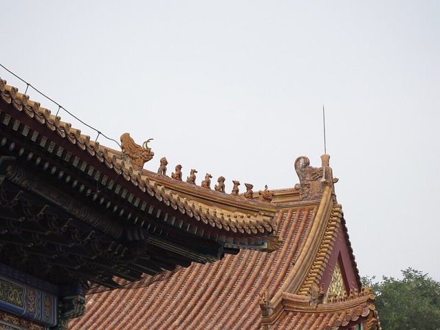 L’angle du toit de la salle de la Prouesse militaire : une file de figurines vernissées sur l’arête, une grande queue de dragon au bout du faîte, et le pignon doré du petit côté.