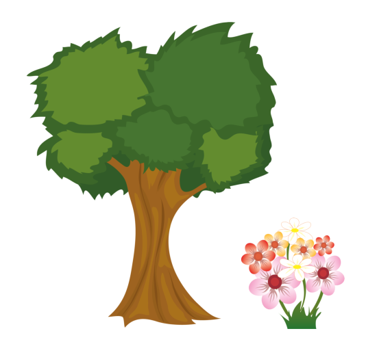 vocabulaire de la nature