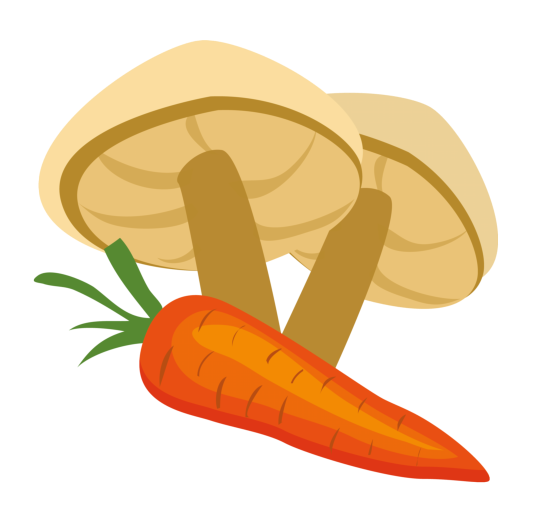 vocabulaire des légumes