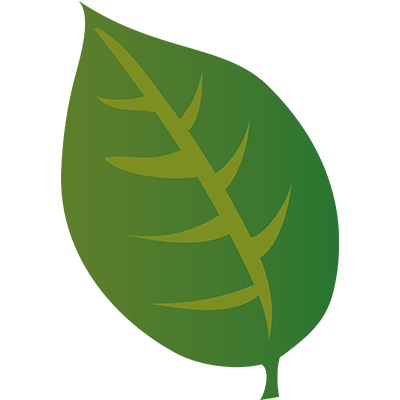 Feuille en chinois