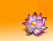 Chinese greeting card no. 60