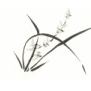 Chinese painting no. 10