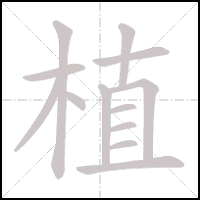 Animation du tracé du caractère 植, trait après trait
