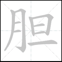 Animation du tracé du caractère 胆, trait après trait