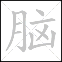 Animation du tracé du caractère 脑, trait après trait