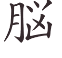 脳