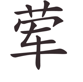 荤