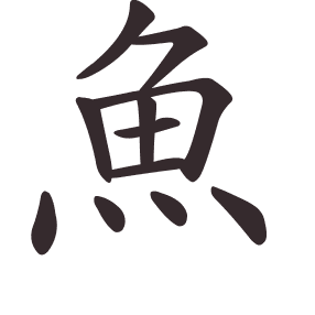 Le caractère 魚 tracé avec le numéro de chaque trait à son point de départ