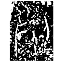 Bronze script: 列