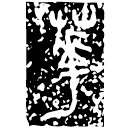 Bronze script: 華