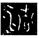 Bronze : 清