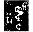 Bronze script: 斬