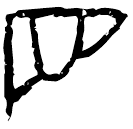 Oracle bone script: 目