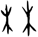 Ossécaille : 林