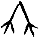 Ossécaille : 竹