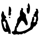 Ossécaille : 火