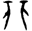 Oracle bone script: 非