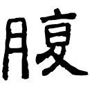 Clerical script: 腹