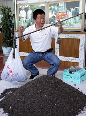 Hu Xilin