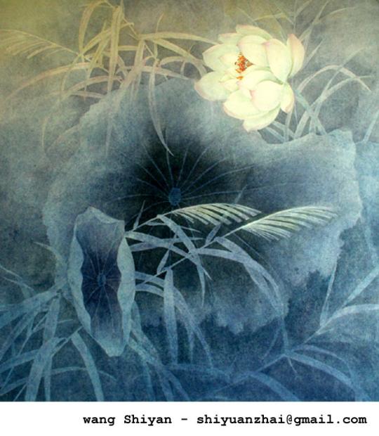 lotus chinois bleu