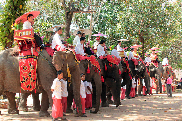 éléphant thailandais
