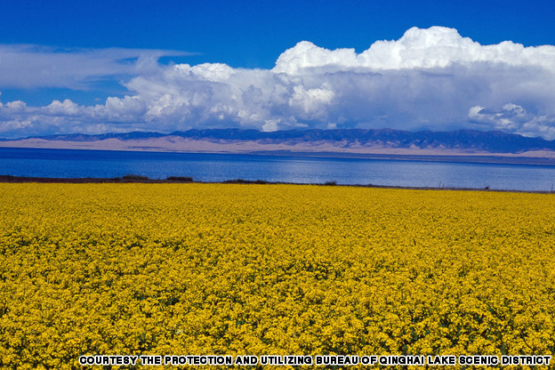 lac Qinghai