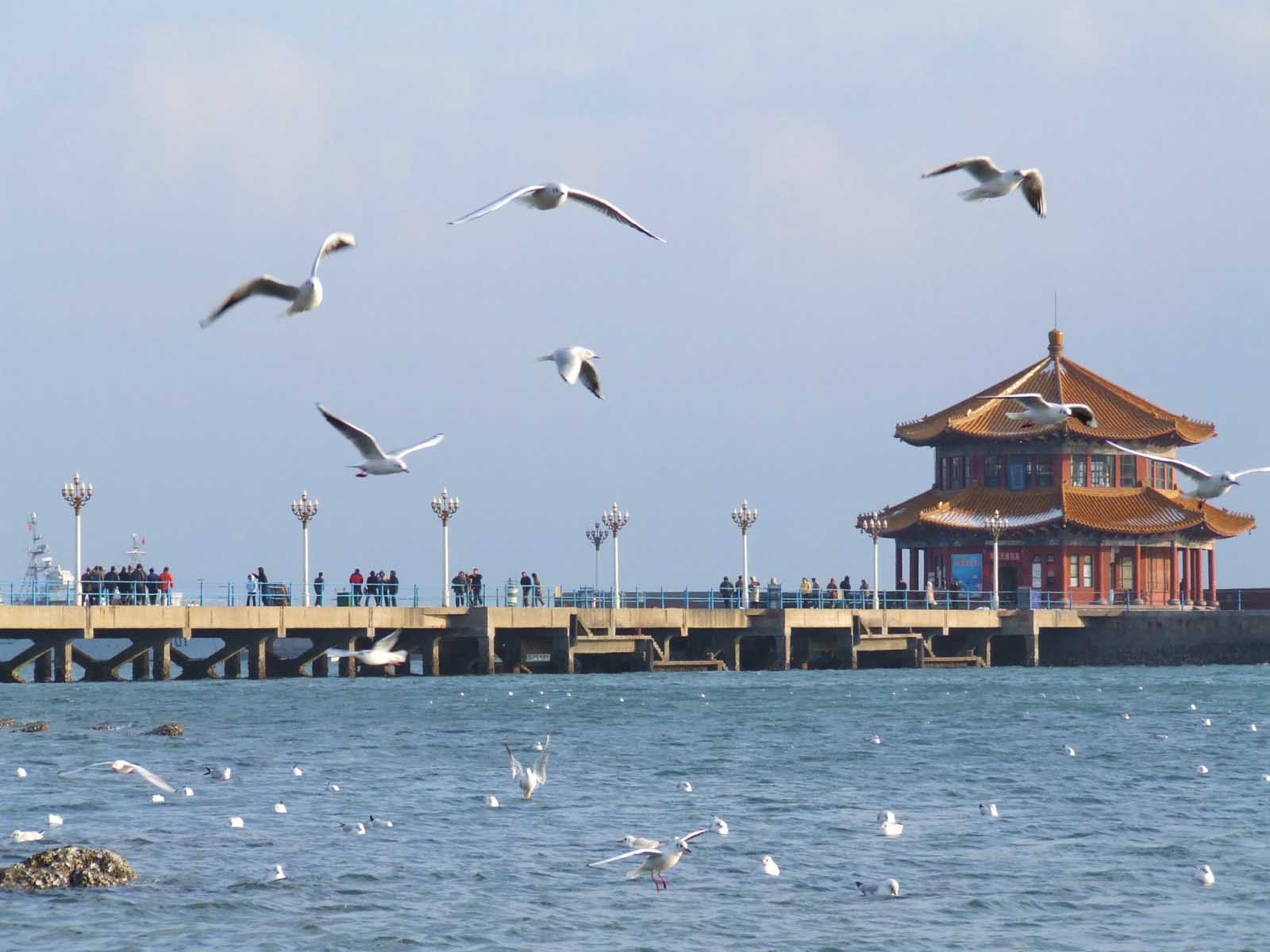 pont Zhan de Qingdao