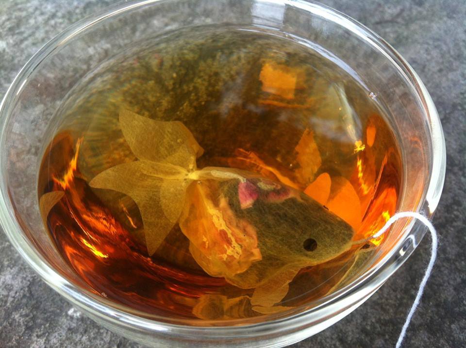 sachet de thé poisson rouge