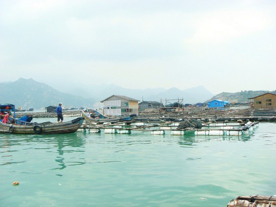 marché flottant