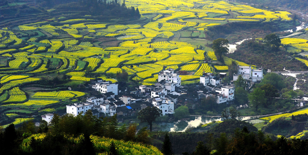 Wuyuan