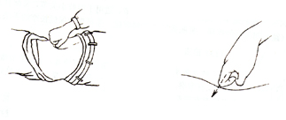 Croquis : une main qui saisit et pétrit un membre, puis un doigt qui appuie sur un point.