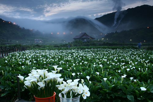 Yangmingshan