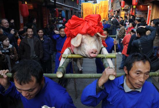 sacrifice cochon