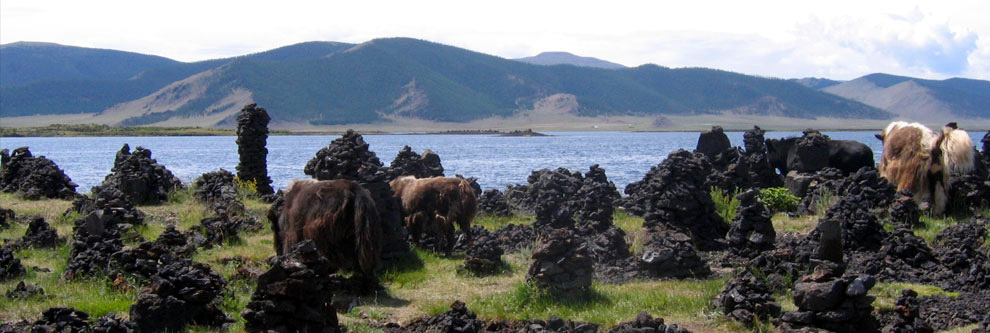 lac mongol