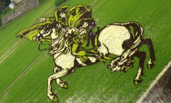 peinture du champs de riz : Napoléon