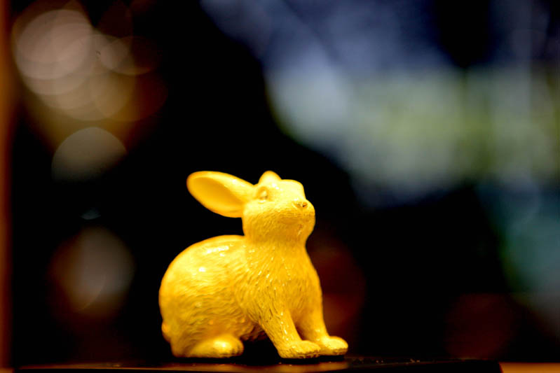 lapin en or