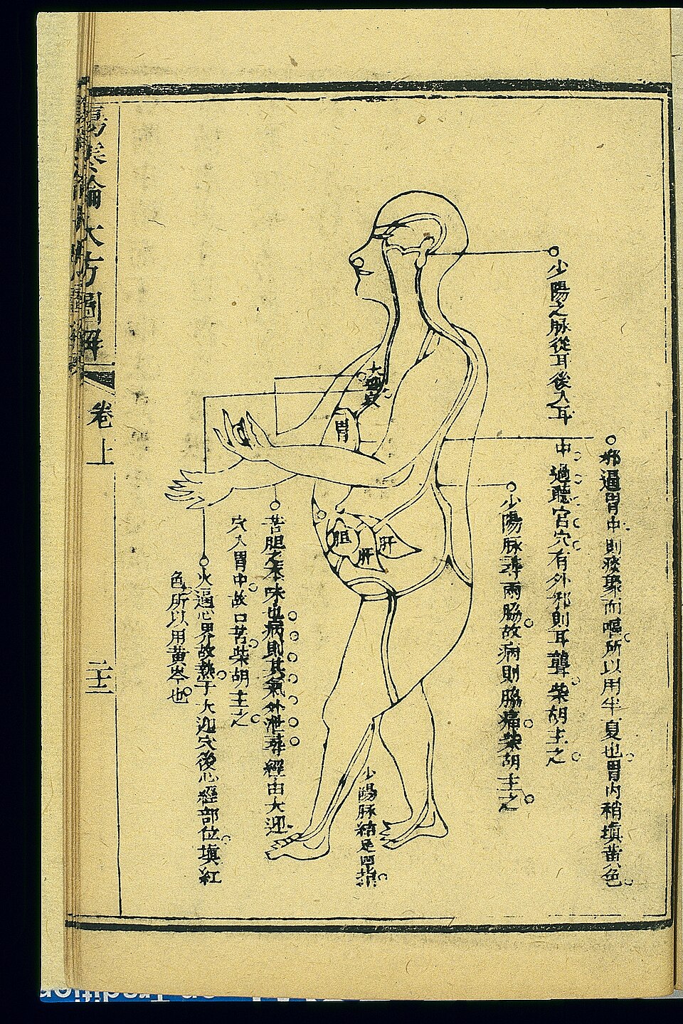 Planche xylographique chinoise consacrée à la Décoction mineure de bupleurum