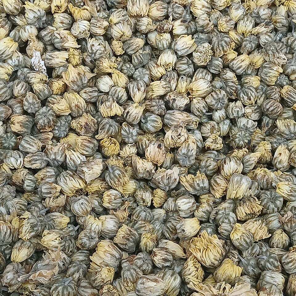 Capitules de chrysanthème séchés pour l'infusion
