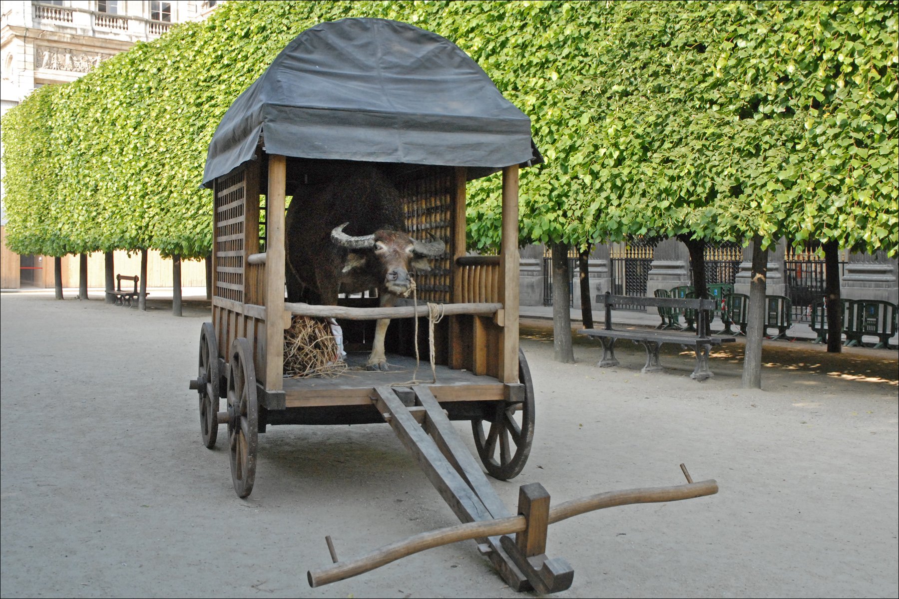 Immigrant sans papier, installation de Huang Yong Ping au Palais-Royal