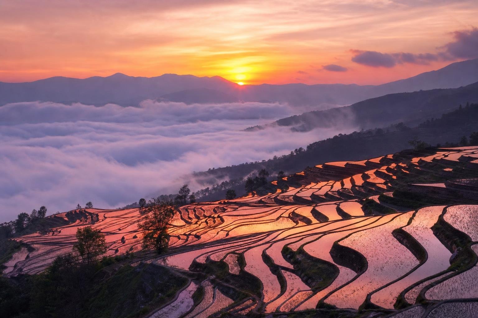 Rizières en terrasses inondées de Yuanyang au coucher du soleil