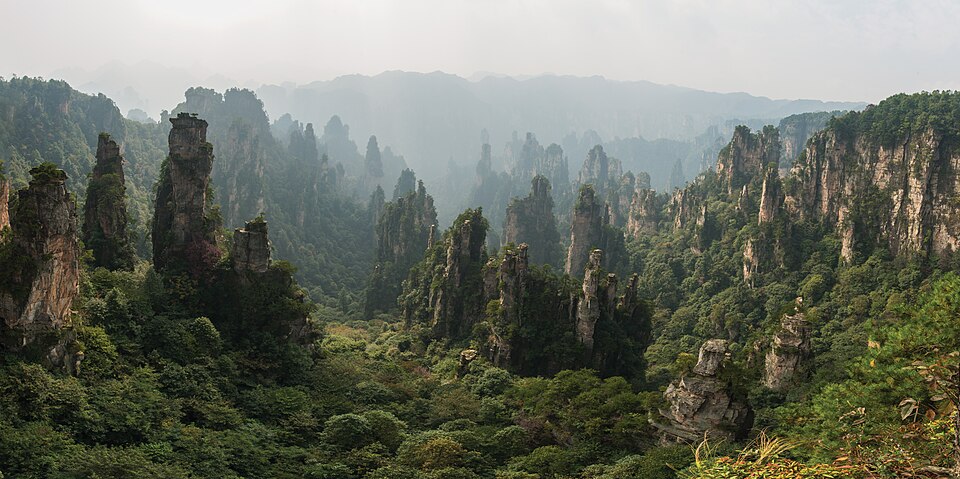 Une forêt de piliers de grès gris clair, hauts et étroits, plantés serrés dans un versant couvert d'arbres ; ils émergent d'une vallée boisée et se perdent, de plus en plus pâles, vers une ligne de crêtes noyée de brume.