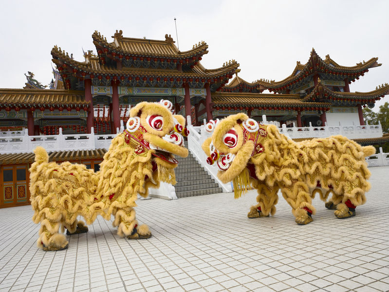 Danse du lion