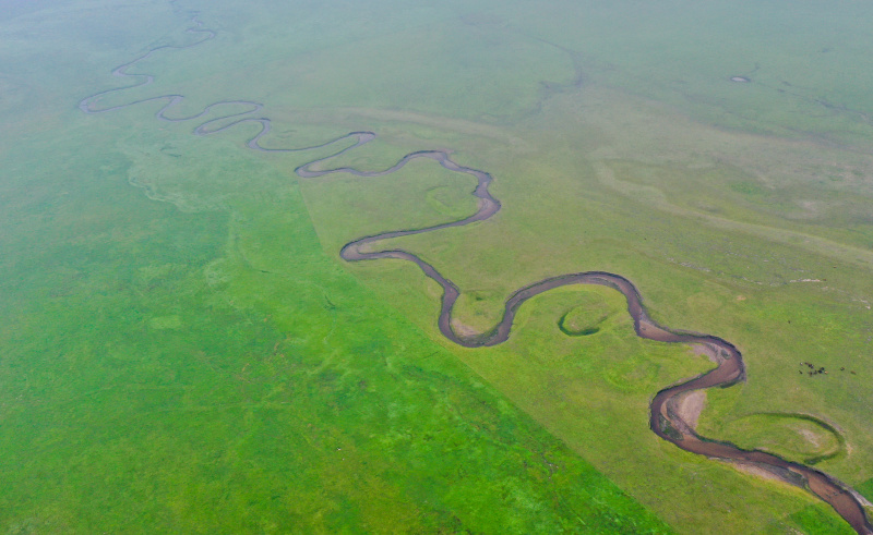 Paysage d'une prairie dans la bannière de Dong Ujimqin de la ligue de Xilingol