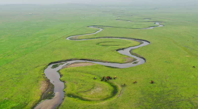 Paysage d'une prairie dans la bannière de Dong Ujimqin de la ligue de Xilingol