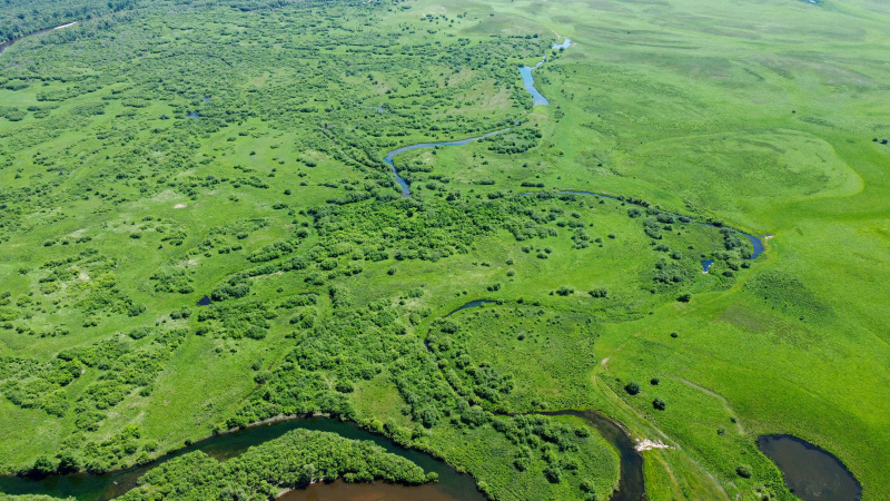 Paysage d'une zone humide à Ergun