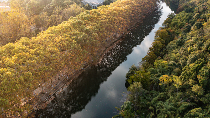 Photo aérienne du paysage automnal du parc national des zones humides de Huaxi